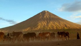 Tanzanie, un volcan en terre massaï